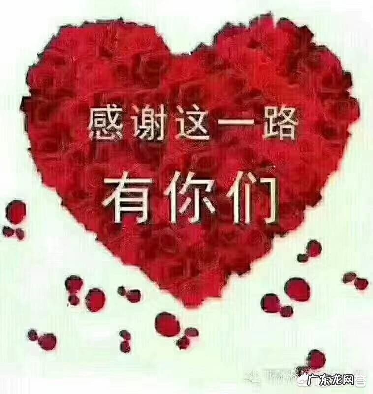 学前教育到底该怎么教?该不该教文化课?