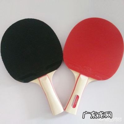 如何选择适合自己的乒乓球拍？