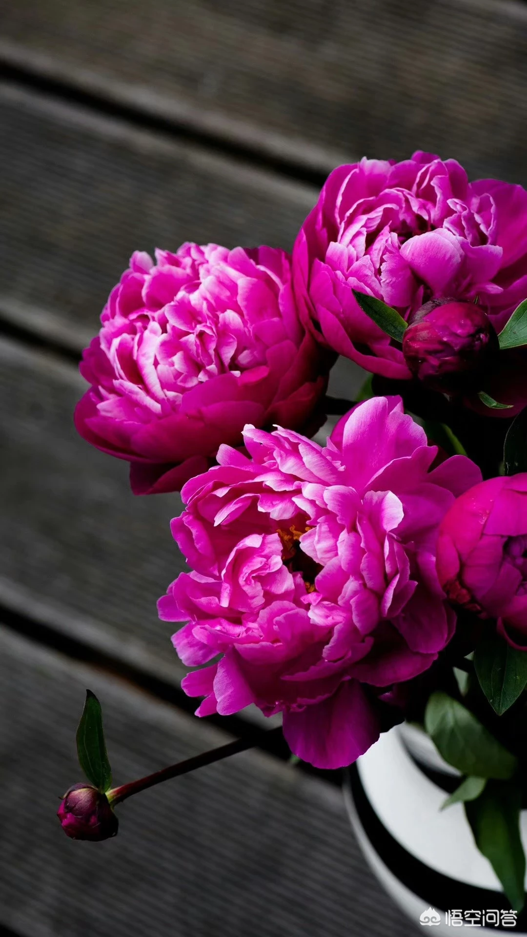 孩子暑假上辅导班到底好还是不好?