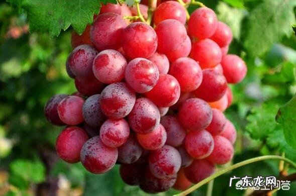 怎样快速美白晒黑的胳膊？