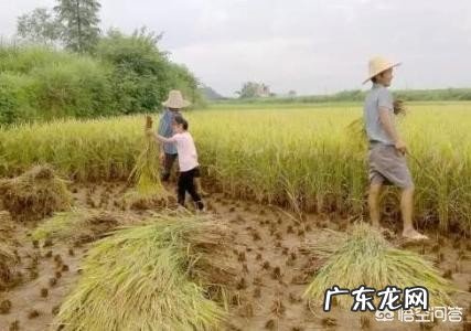 怎样快速美白晒黑的胳膊?