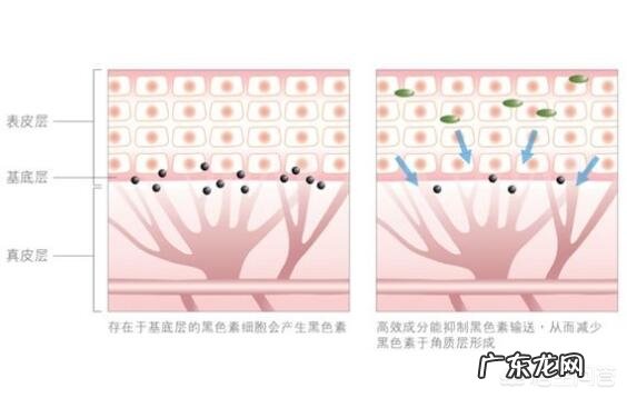 怎样快速美白晒黑的胳膊？