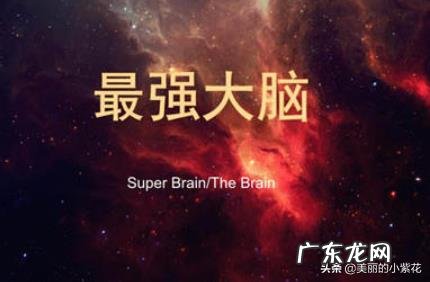 最强大脑2020退赛人员名单?