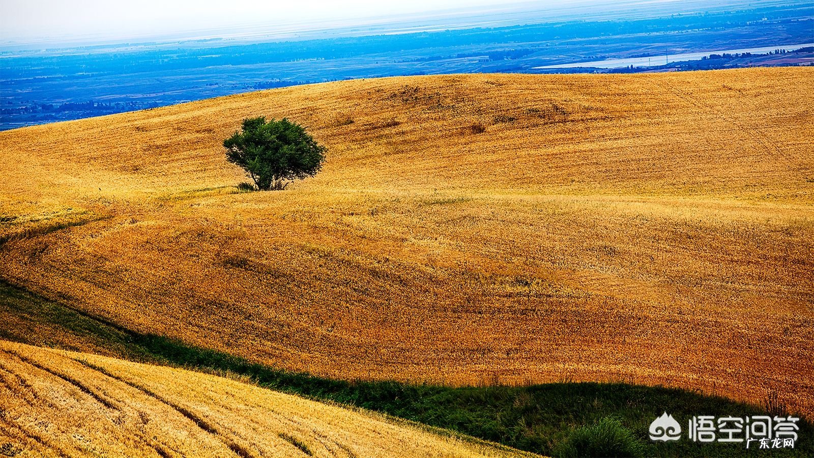 描写"初秋"的诗句有哪些?