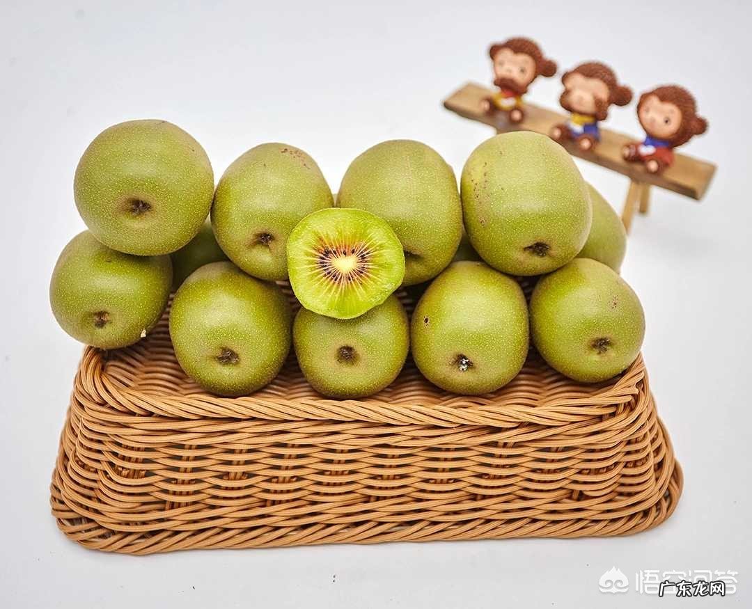 奇异果和猕猴桃哪个的营养价值更高？
