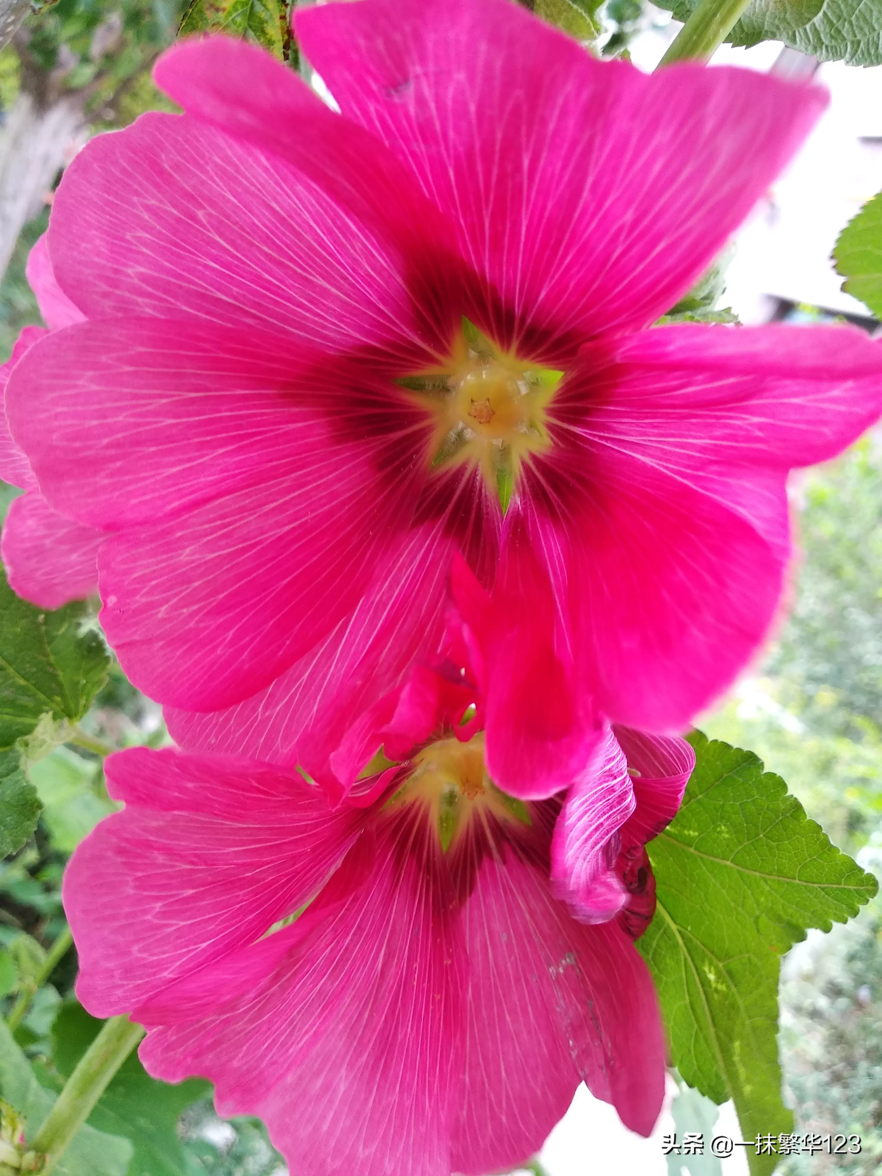 怎么看待“细水长流的感情”？