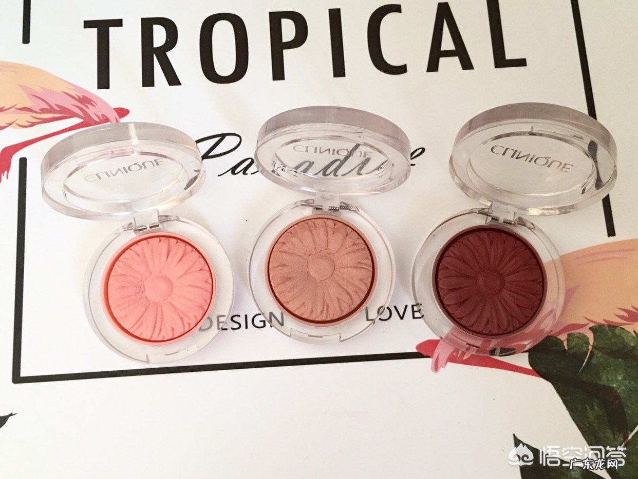 彩妆牌子哪个性价比高?