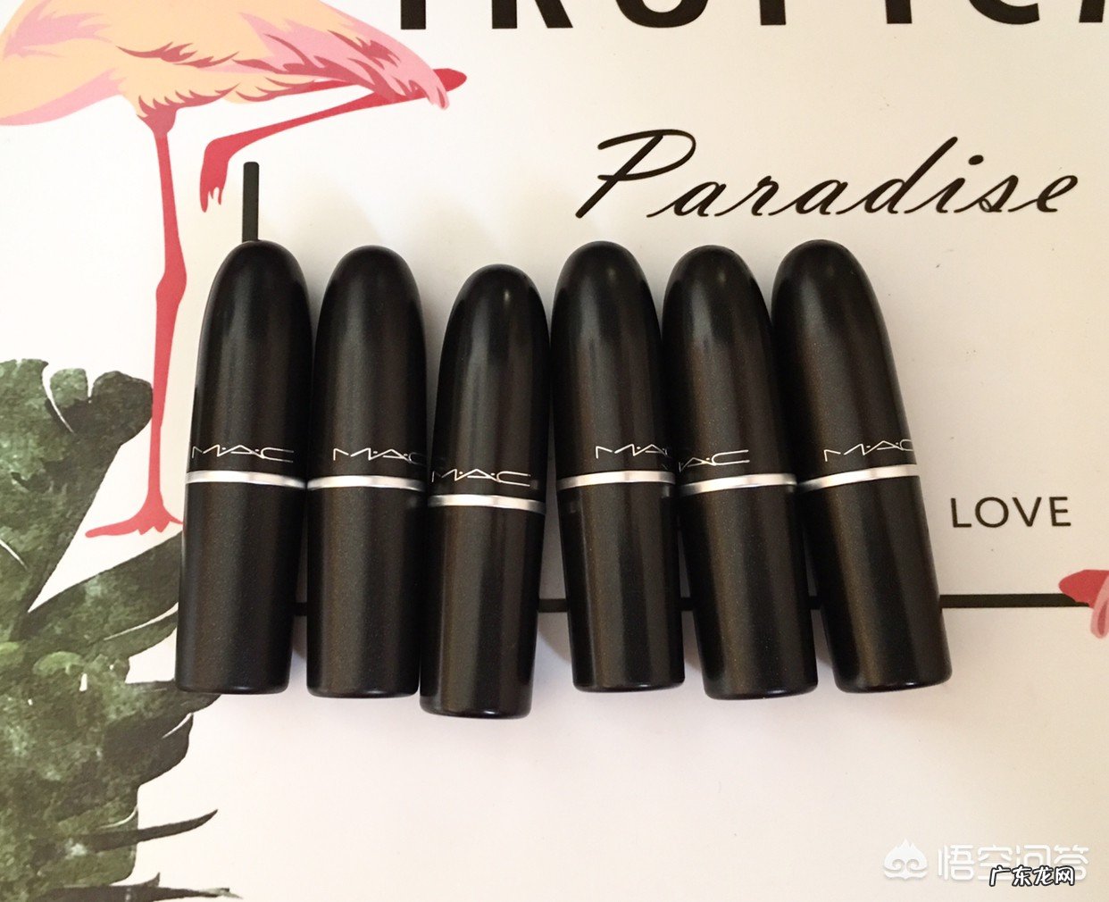 彩妆牌子哪个性价比高?