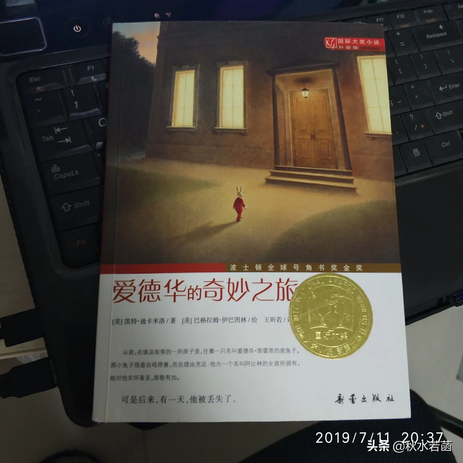 暑期儿童阅读指导，如何亲子共读《爱德华的奇妙之旅》？