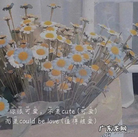 有哪些说到心坎里的经典句子？