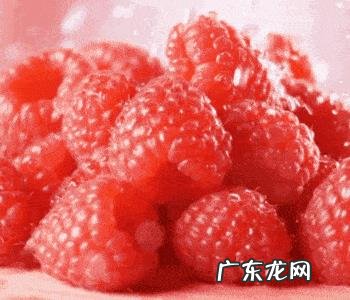 有什么补肾的食疗?