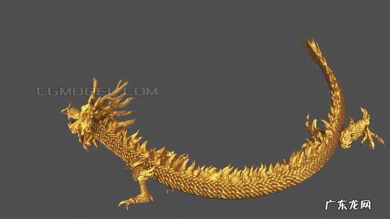 十二生肖哪个生肖智商最高?哪个生肖最有本事?