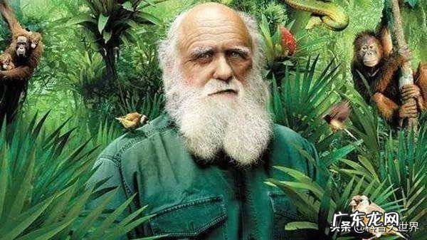 加拉帕戈斯群岛地处赤道地区却终年寒冷,为什么?