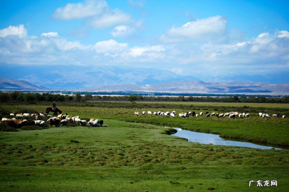 您对“万物皆有灵,草木亦有心”这两句话是怎样理解的?