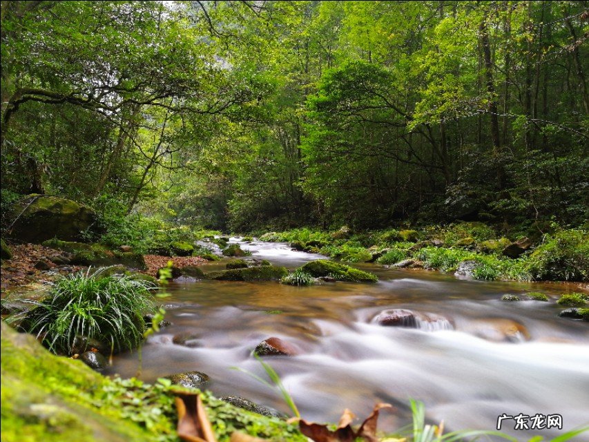 张家界哪里好玩?