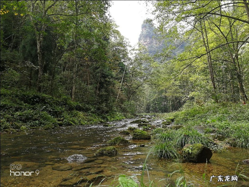 张家界哪里好玩?