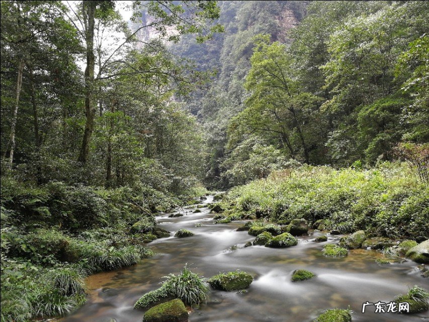 张家界哪里好玩?