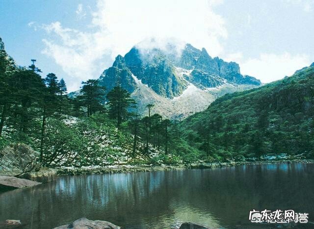 喝茶该讲究吗?为什么?