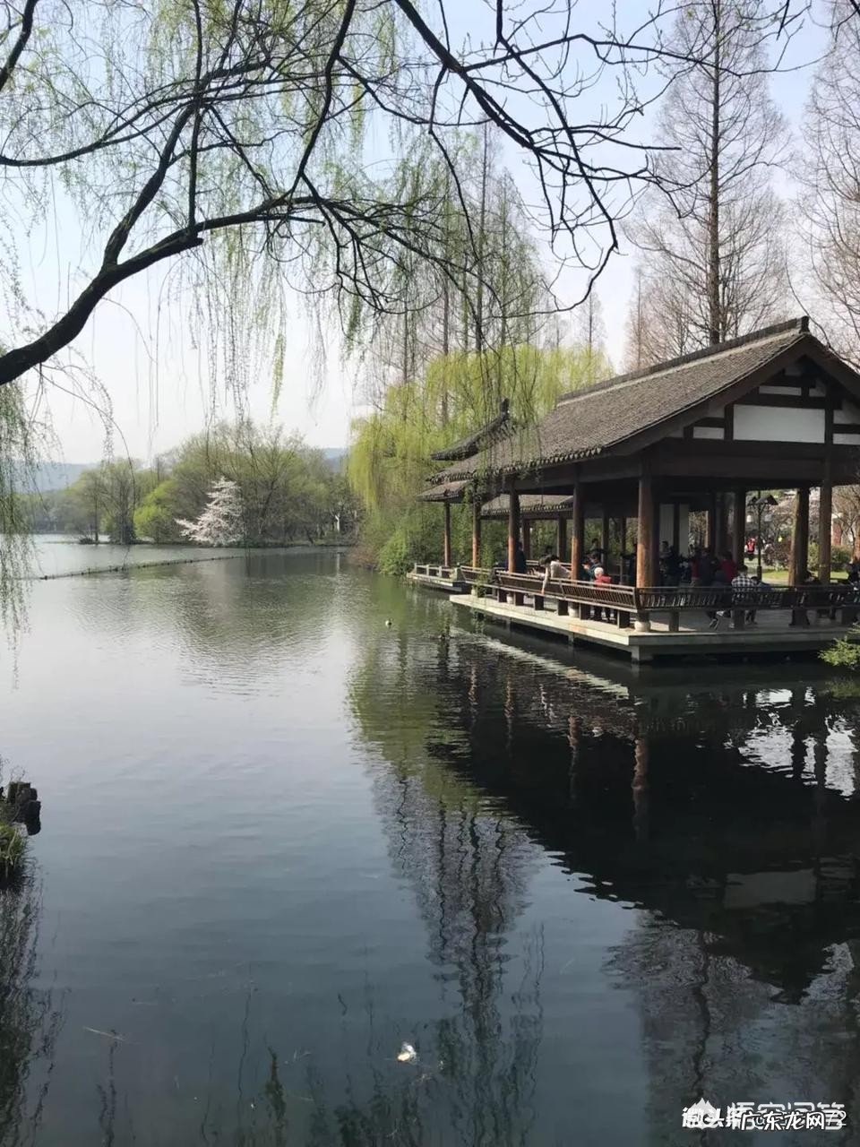 喝茶该讲究吗?为什么?