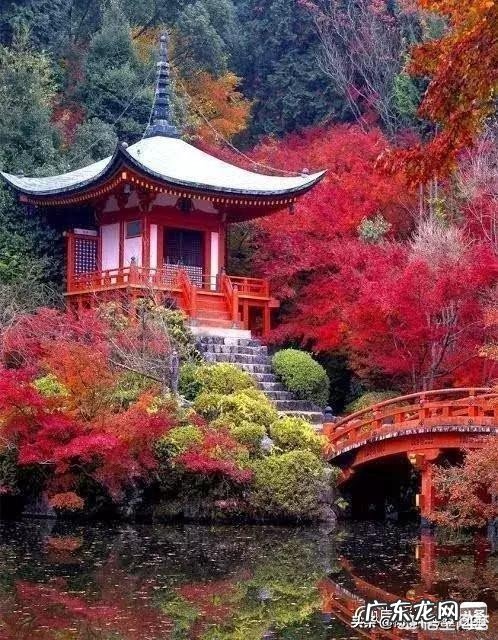 喝茶该讲究吗?为什么?