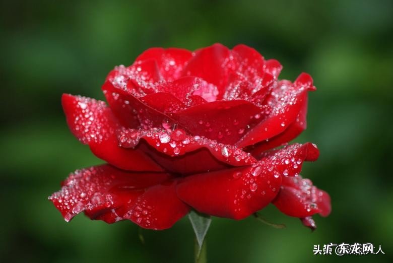 怎么追很熟悉的男性朋友?