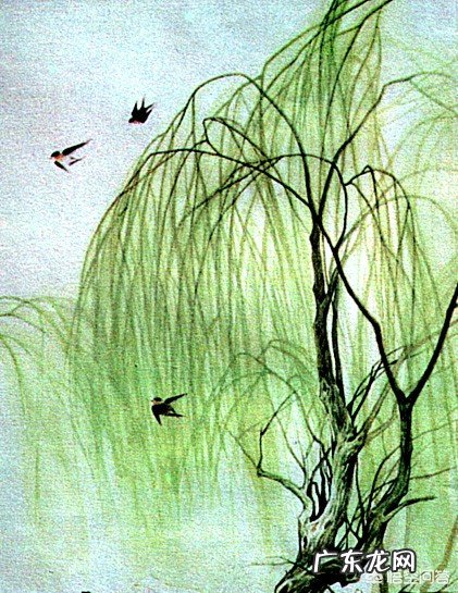 描写柳的诗句很多，你最喜欢哪一句？