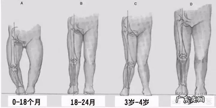 如何评价宝宝的生长发育状况?