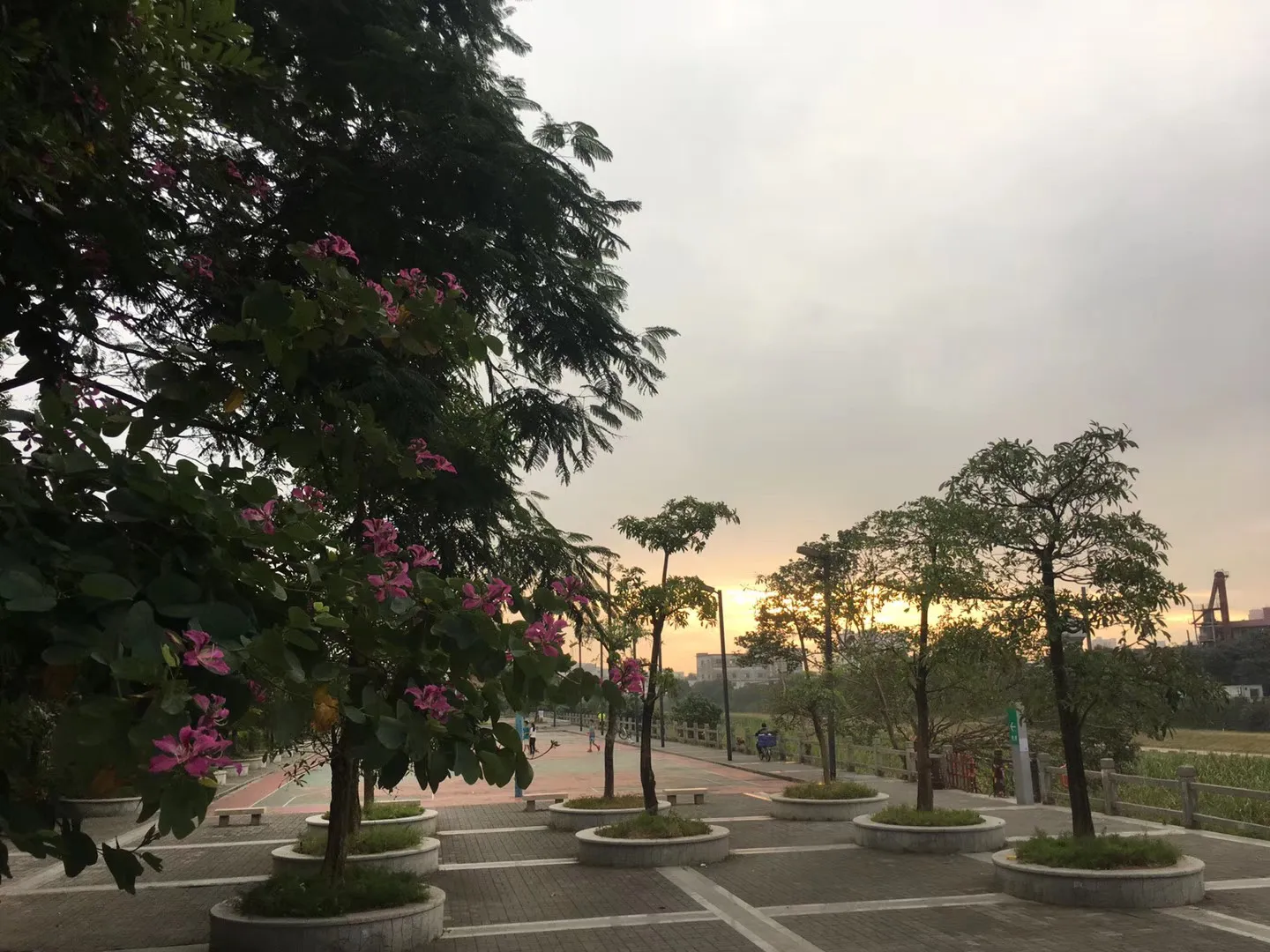 期末考试没考好,父母总打击我怎么办?