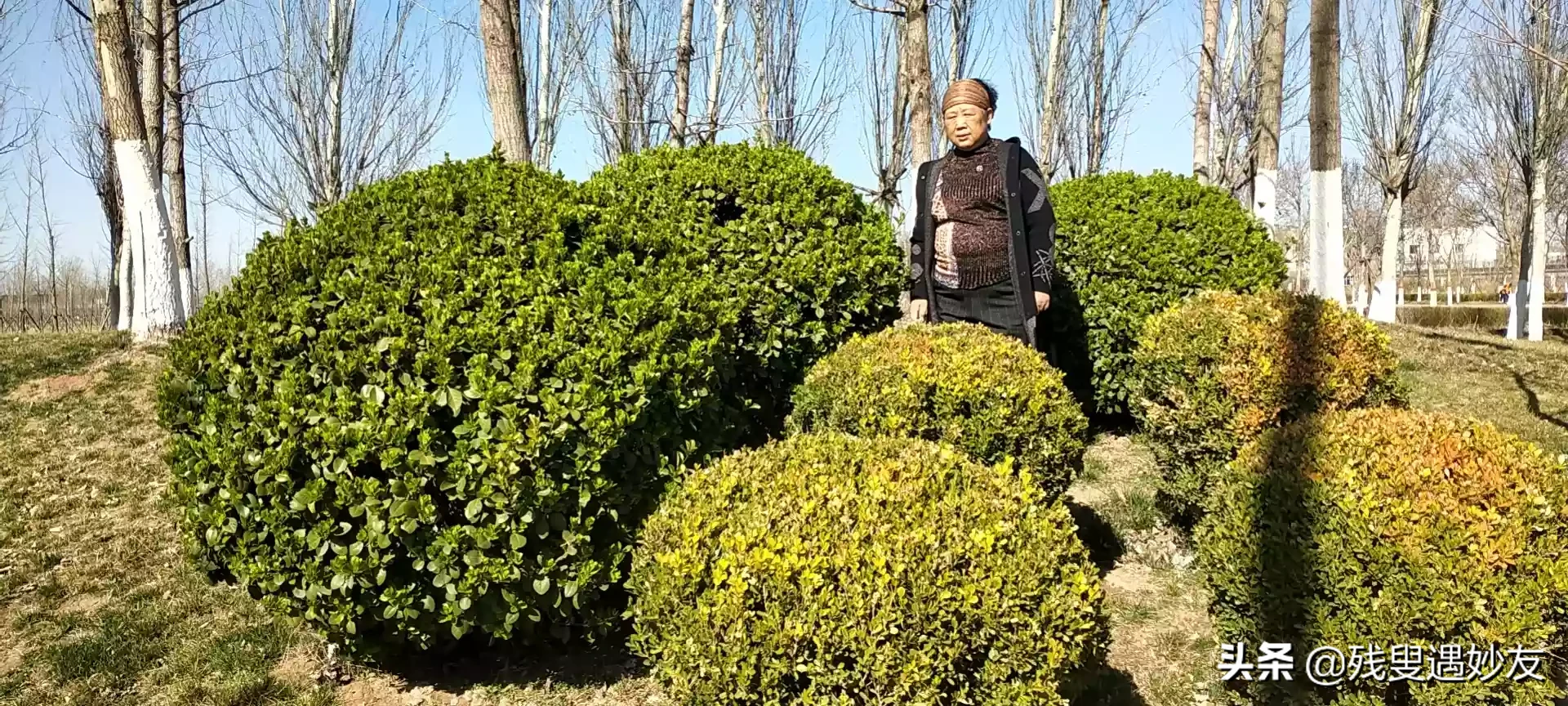 有没有老夫少妻真实的幸福故事?