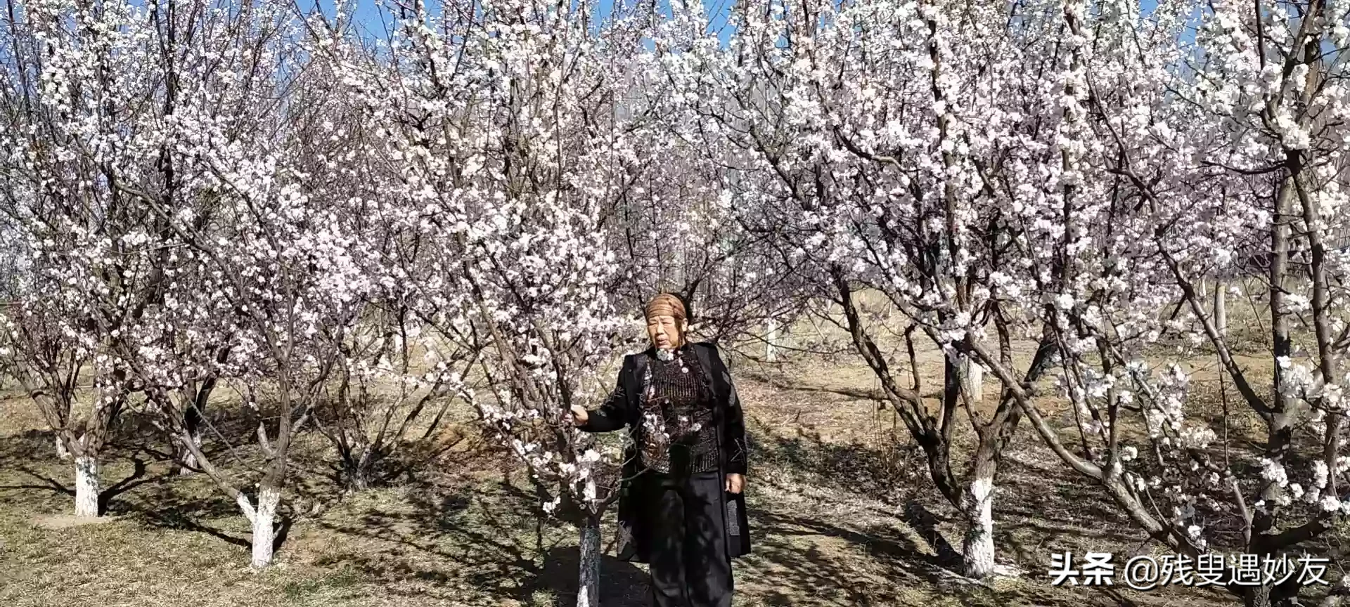 有没有老夫少妻真实的幸福故事?