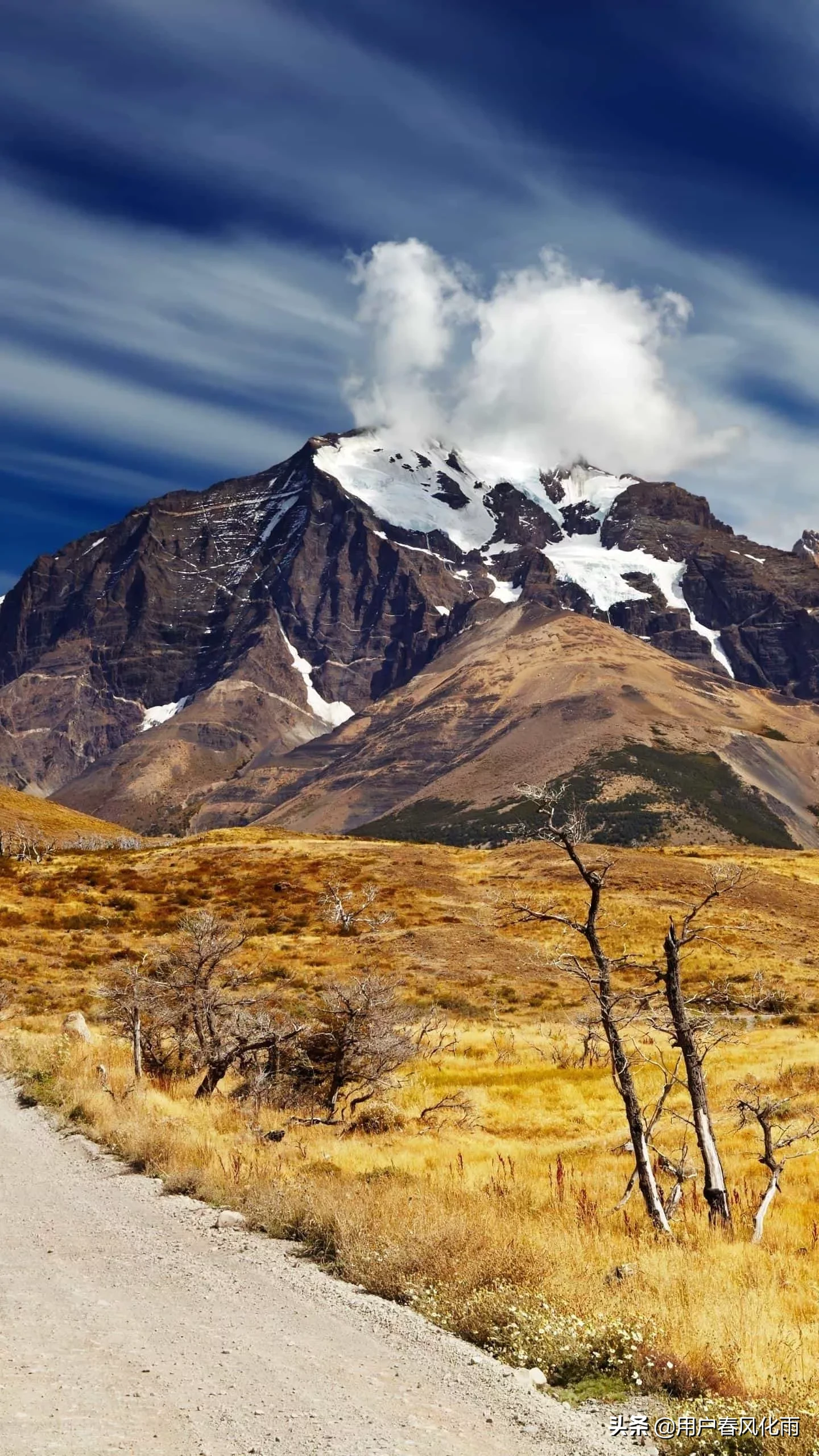 最触动人心的句子有哪些?