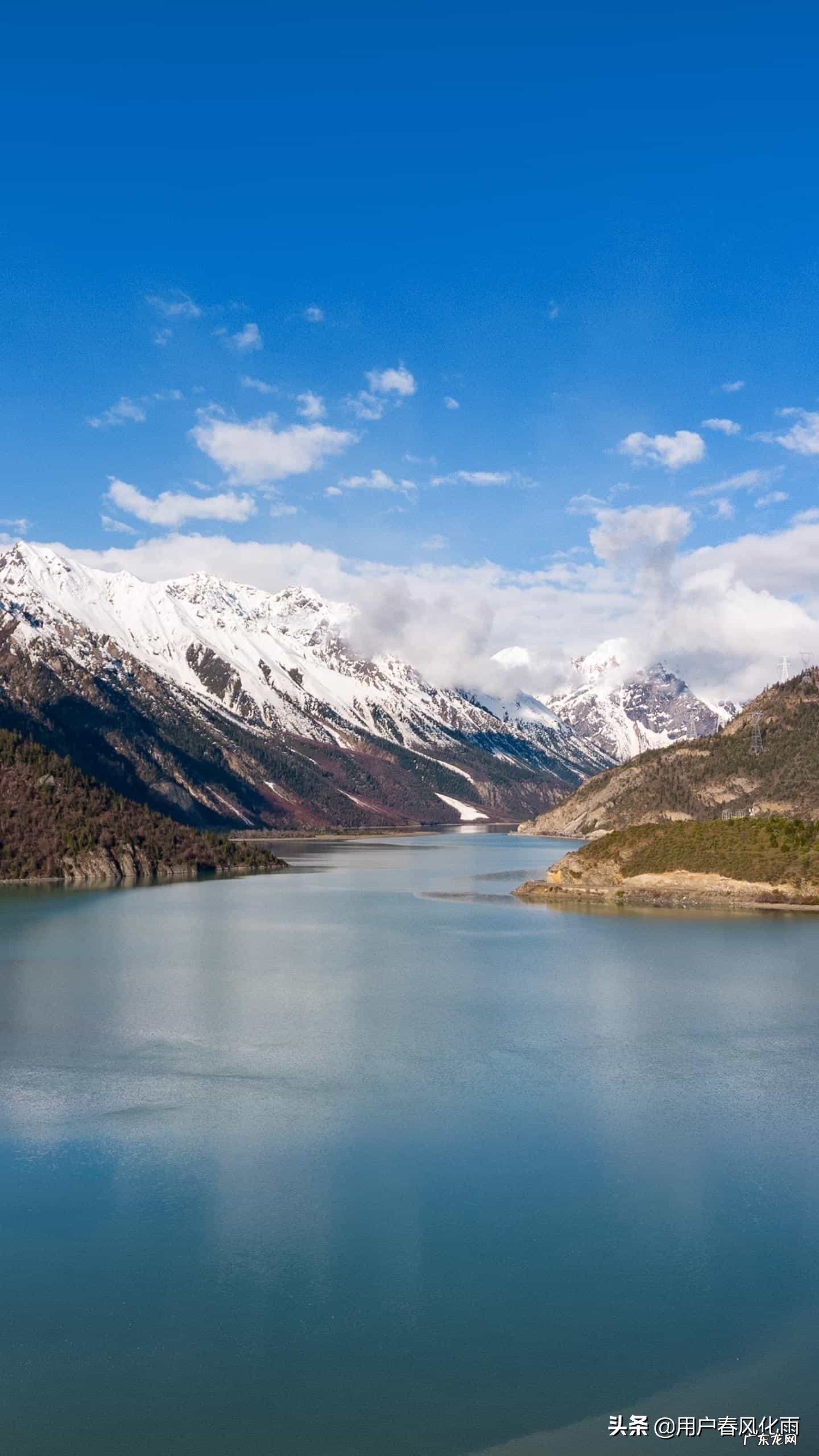 最触动人心的句子有哪些?