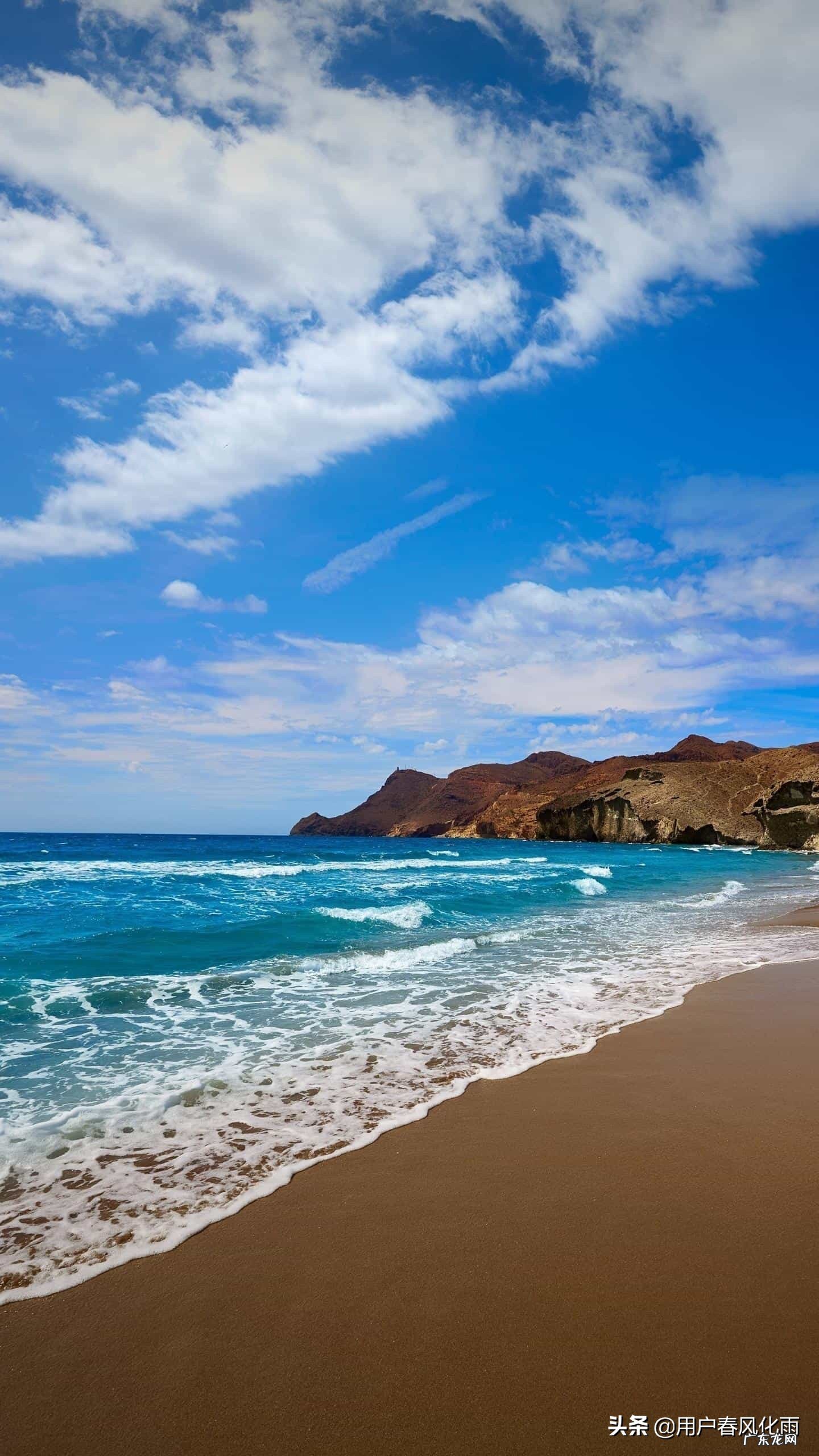 最触动人心的句子有哪些?