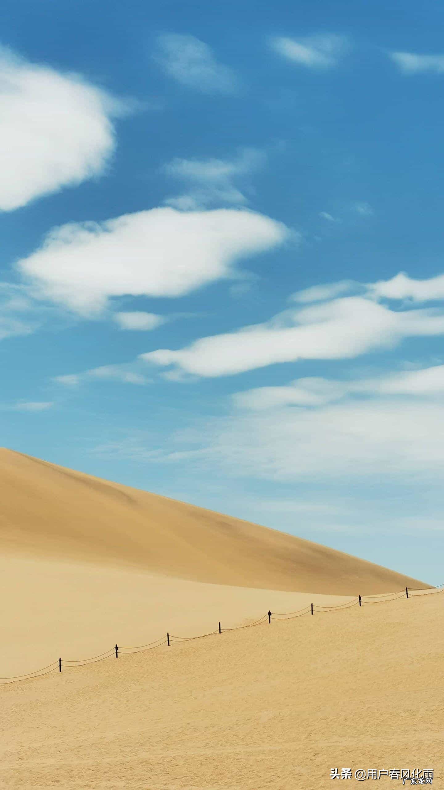 最触动人心的句子有哪些?