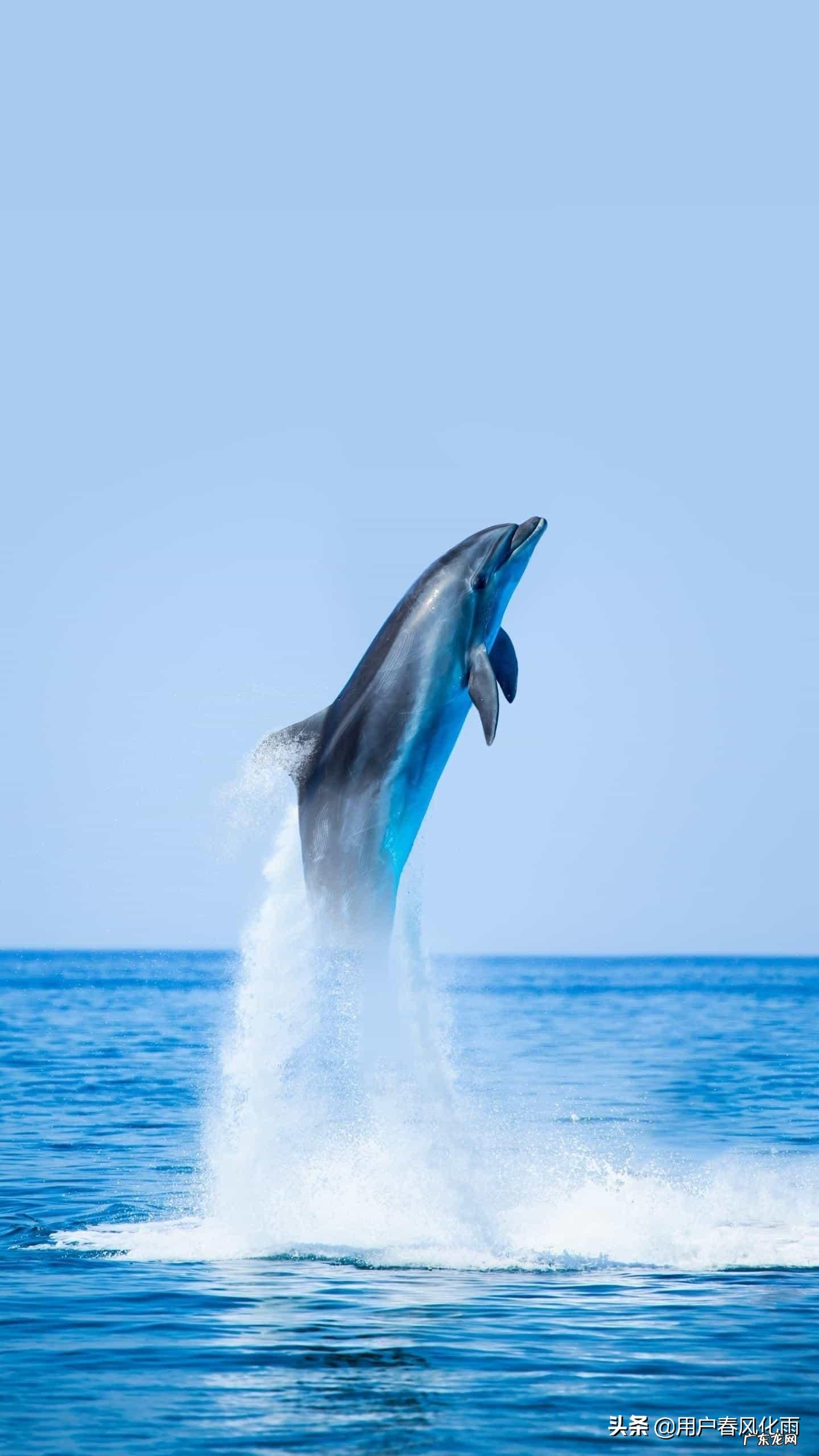 最触动人心的句子有哪些?