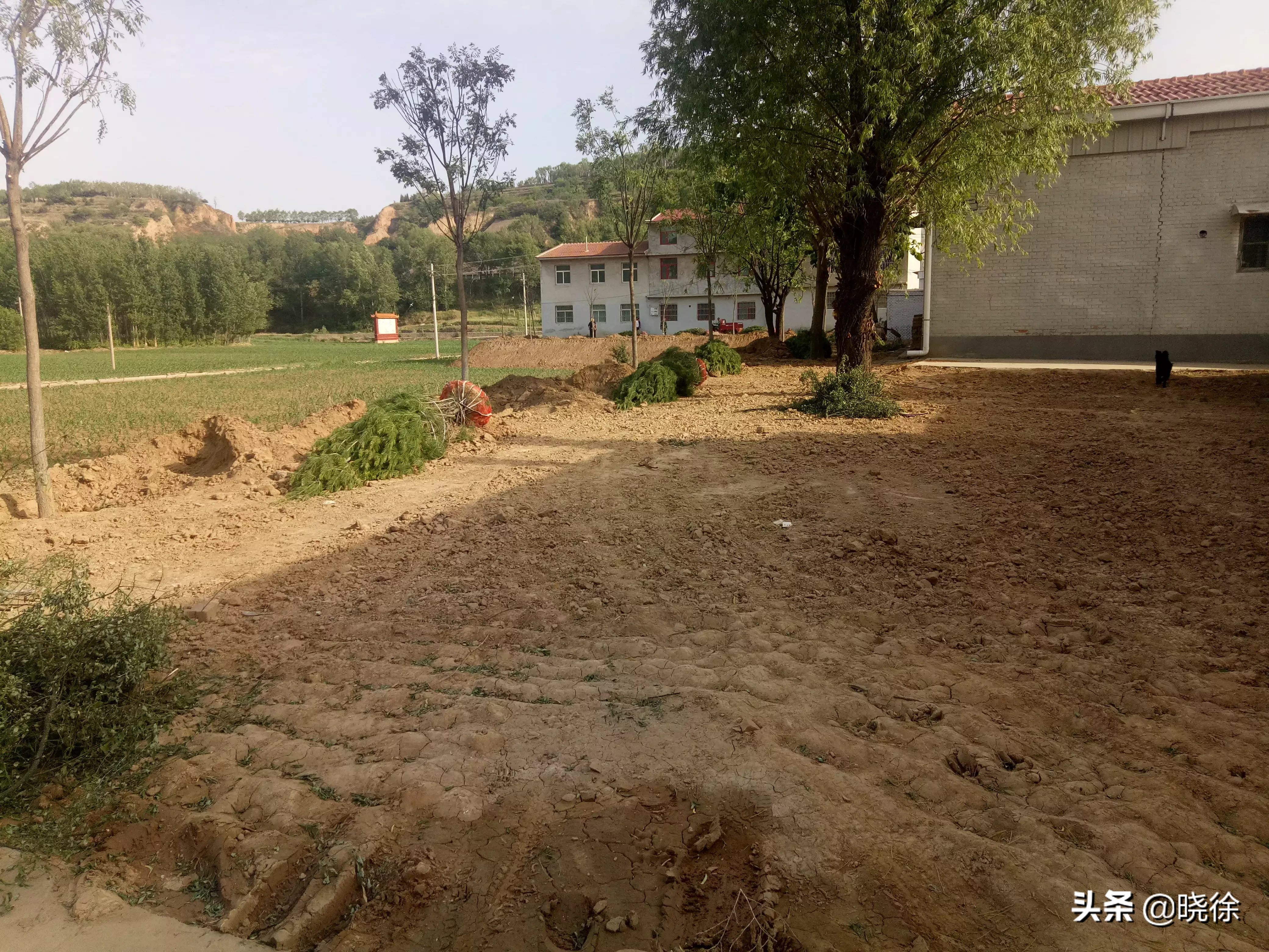 如何参与美丽乡村的建设?