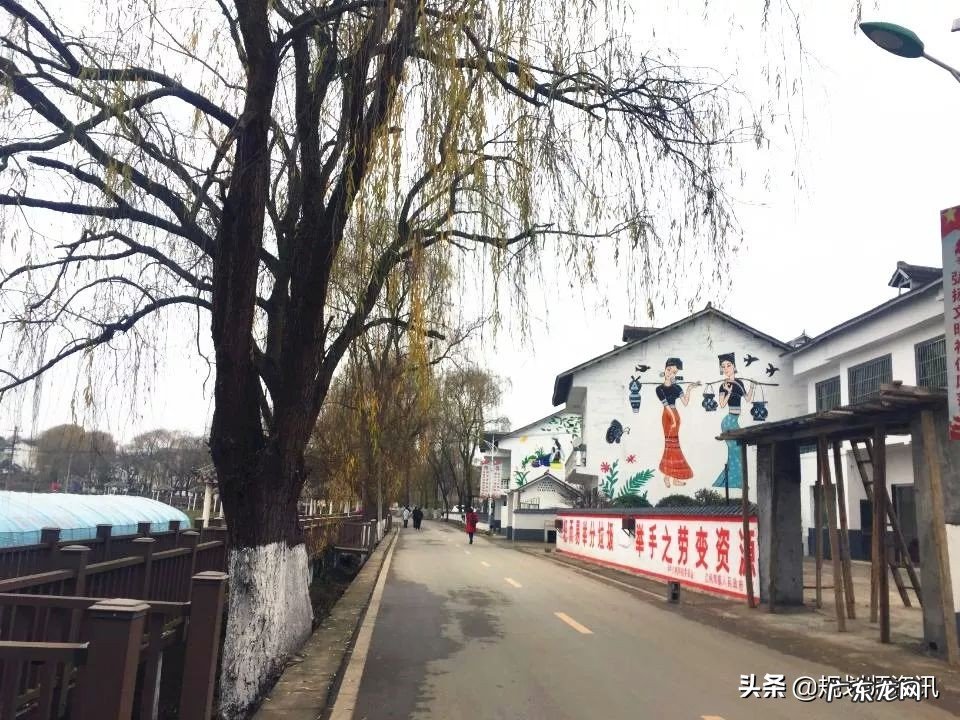 如何参与美丽乡村的建设?