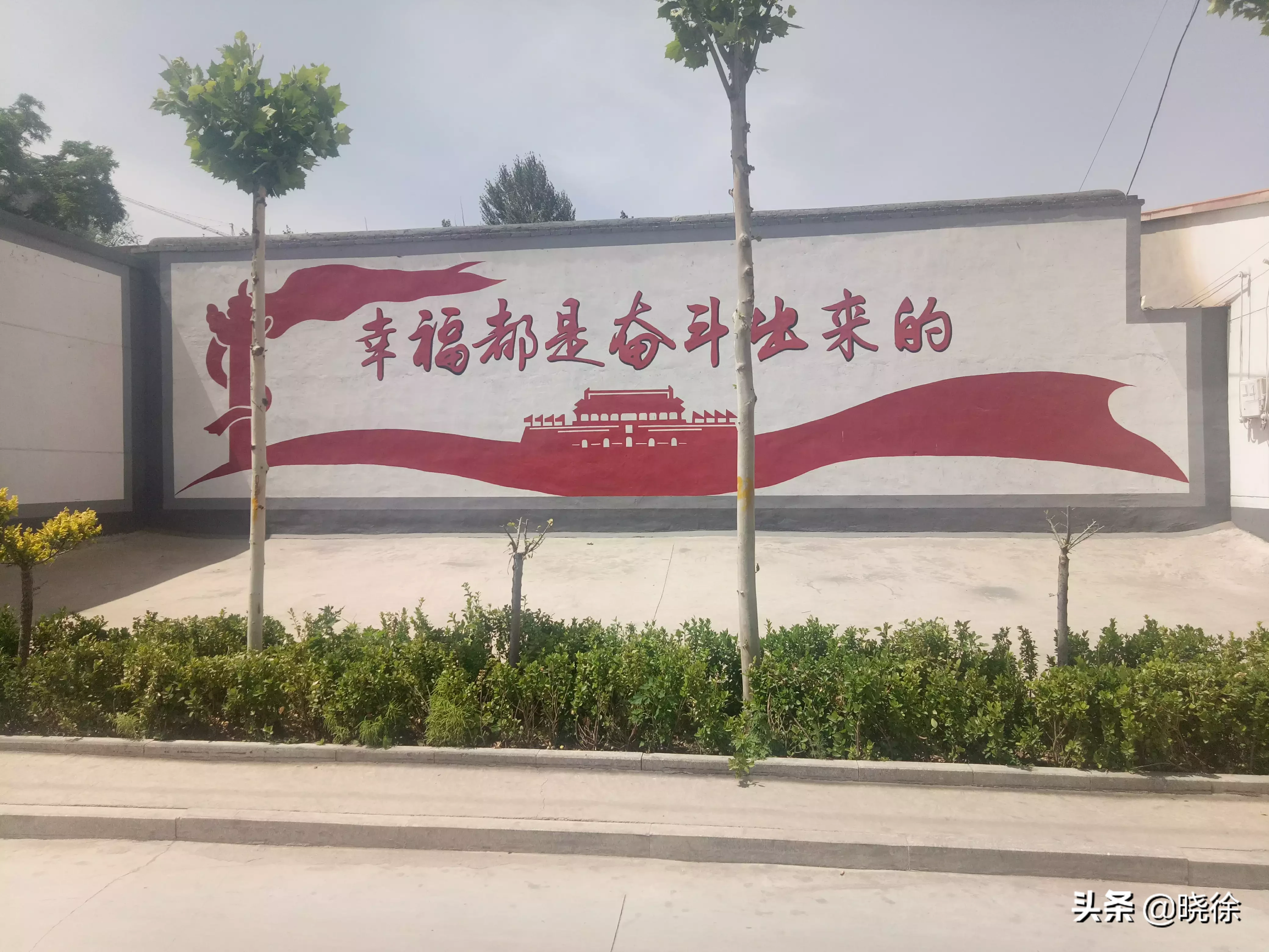 如何参与美丽乡村的建设?