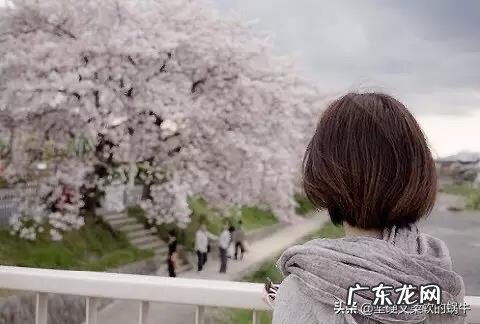 本人双鱼女，怎么追巨蟹男？