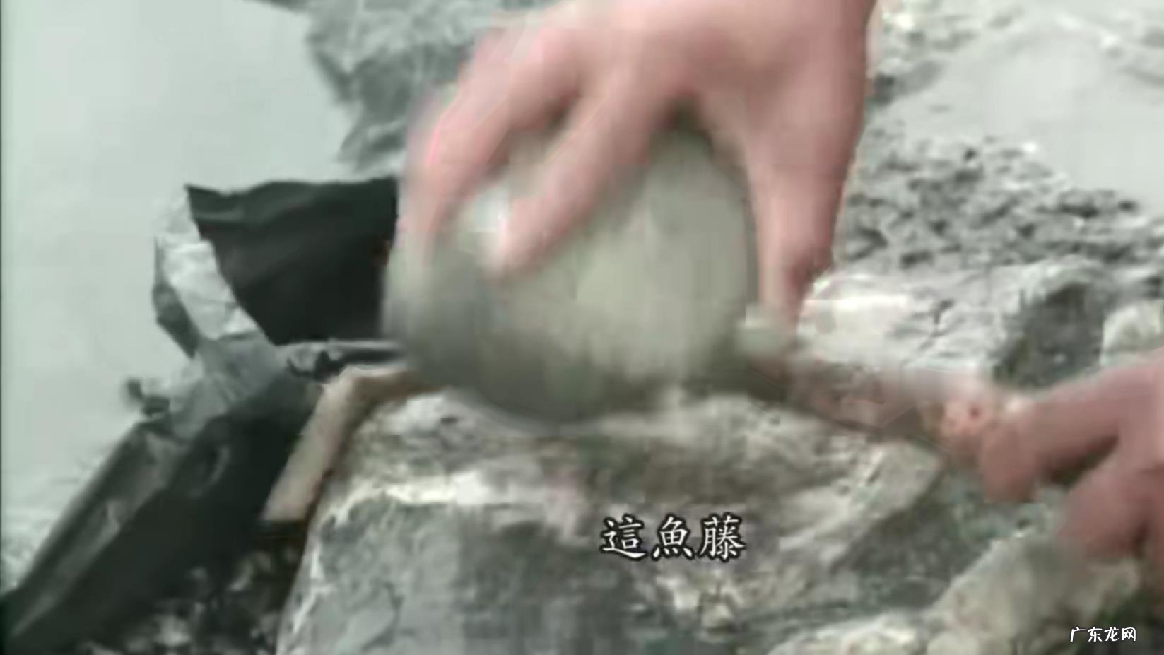 有哪些令人难以置信的真实故事?