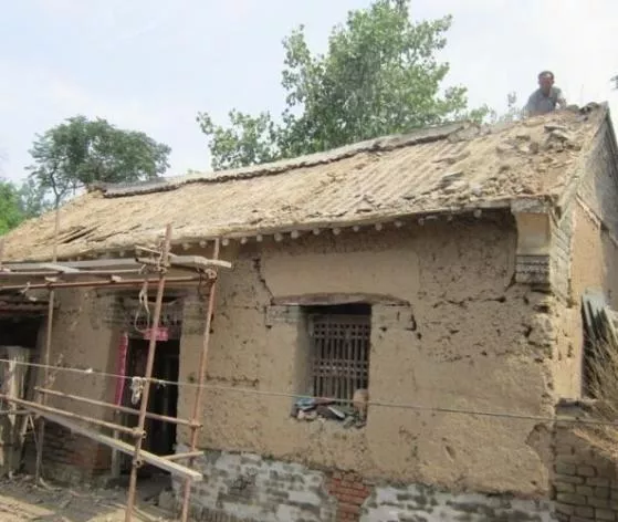 有哪些令人难以置信的真实故事?