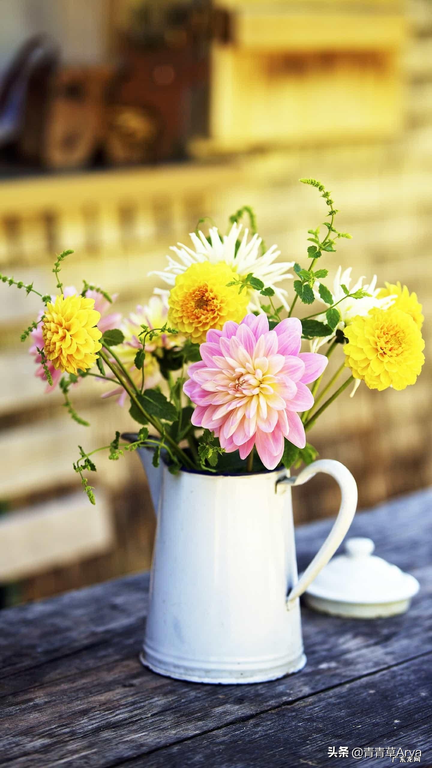 我13岁就害怕死,怕父母去世,怕失去眼前美好的东西,怎么办?