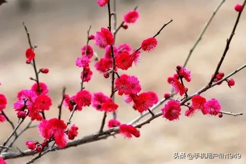 如何自己活得更有尊严、更幸福?