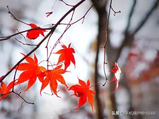 如何自己活得更有尊严、更幸福?