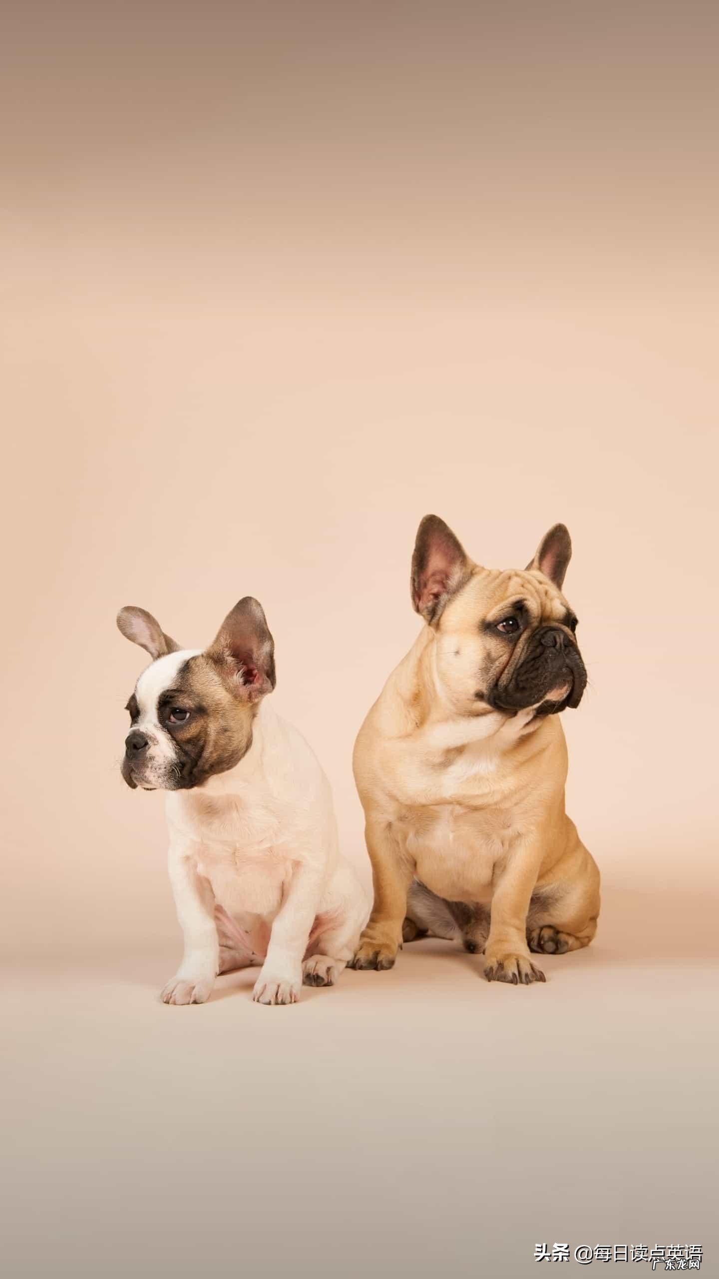 孩子的早期教育有必要吗?该注意些什么?