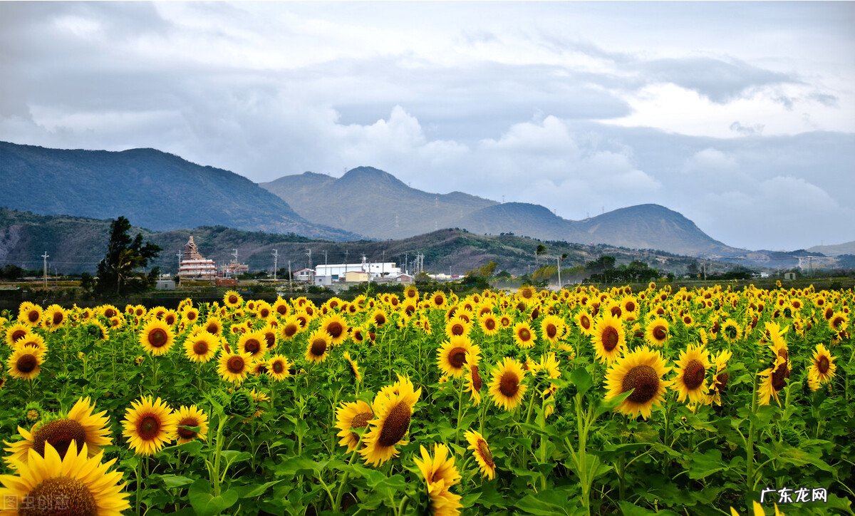 有哪些适合发微信朋友圈的经典语录?
