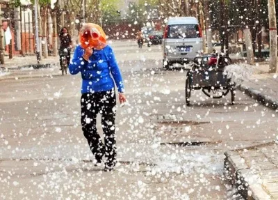 杨絮柳絮的成分是什么，为啥烧起来那么快，扑也来不及？