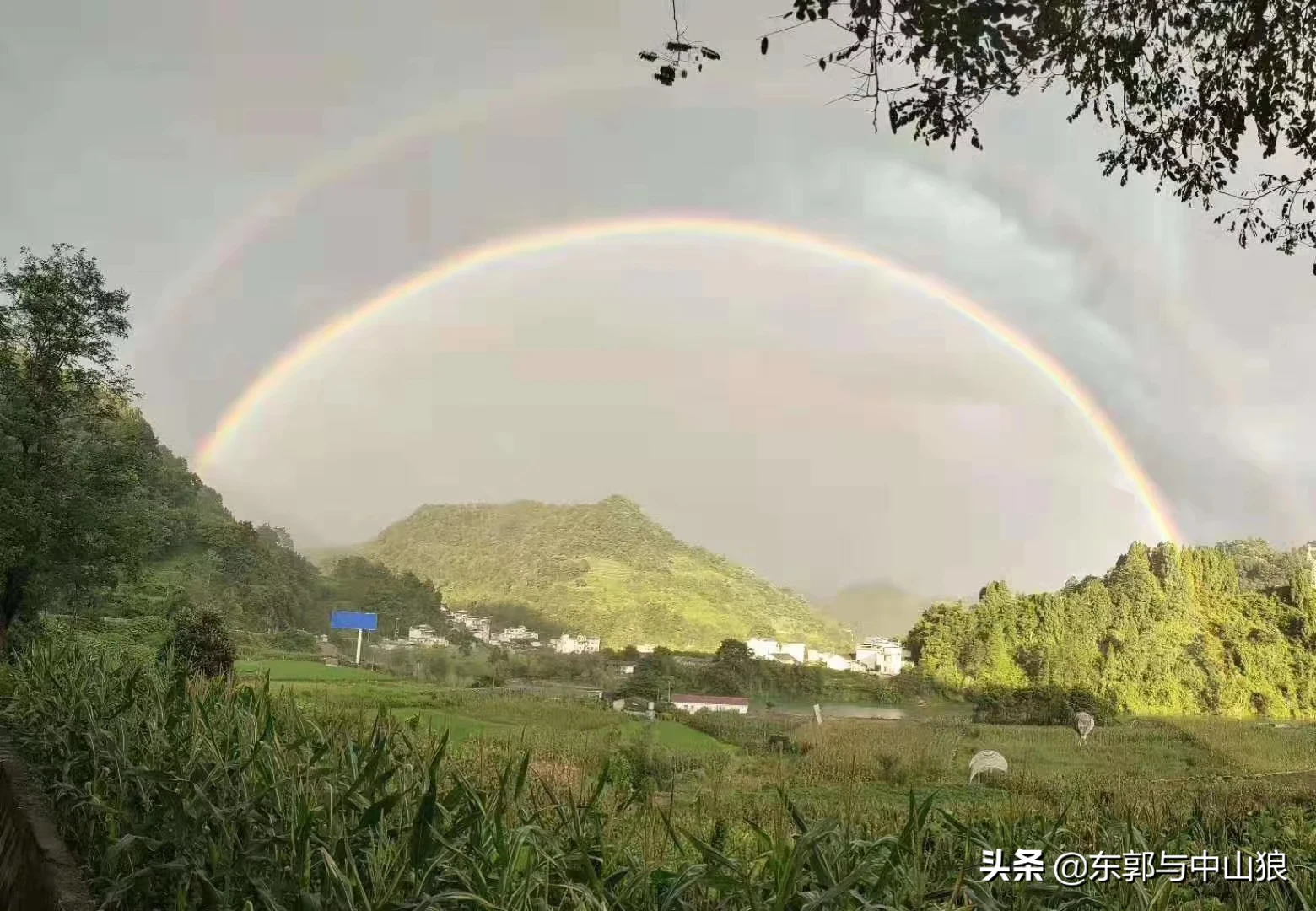 我女儿马上升高三,学校已经开始总复习了,孩子在高一时候,数学一直不是很好,想利用暑期这段时间,给孩子把高一的知识重点复习下,大家有什么好的推荐?