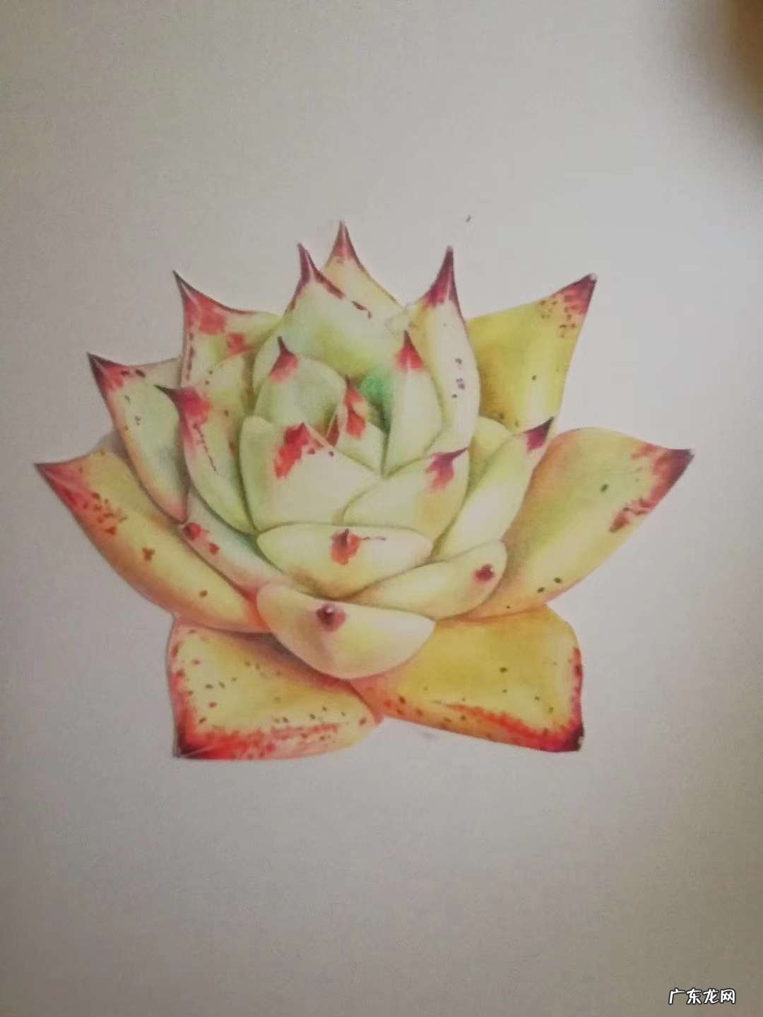 怎样自学美术呢?