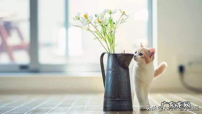 怎样安慰自己，告诉一切会过去？